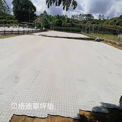 拼装草坪护板草保皮保护JBA板板草坪抗压板草坪盖地垫草地盖板草