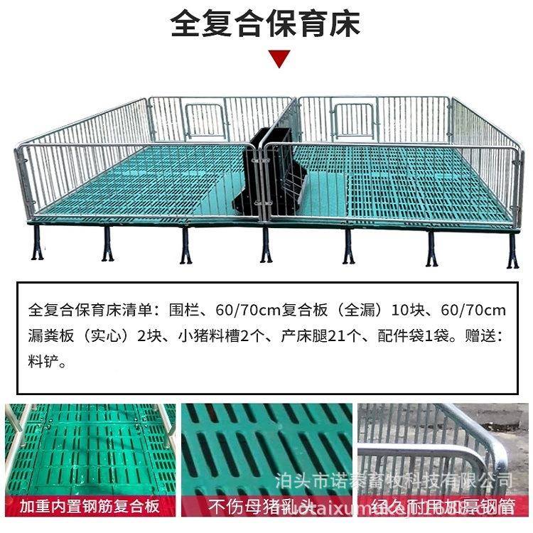 养猪床设UTJ复备全合双体母猪产保床产分勉一体限位栏仔猪保育床
