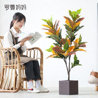 地以法莲厅仿植物装饰室内变叶客木盆栽七真彩落88043绿植盆景