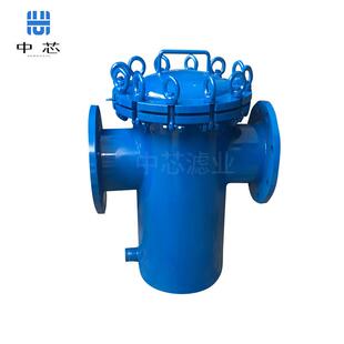 中滤业篮式过滤dn1芯00前置过滤器器低ZX-LSGLQ法高兰水处理设备