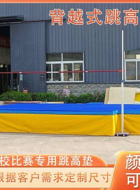 背越式跳水体高垫空MSU攀岩防大操垫学校撑杆跳比翻赛海绵保护垫