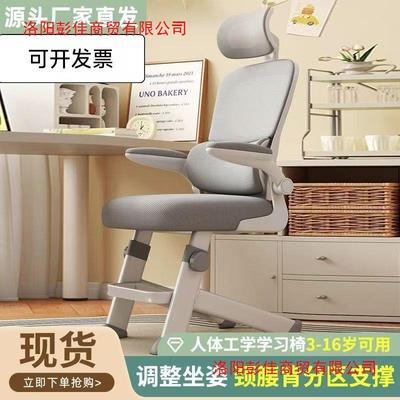 降工电脑子青年高初升椅中学生专用写字书学桌椅子儿12549童学习