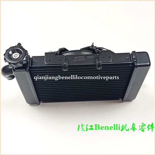 适用黄龙BJ600GS/BN600i/蓝宝龙BJ300GS/302水箱风扇散热器冷风机
