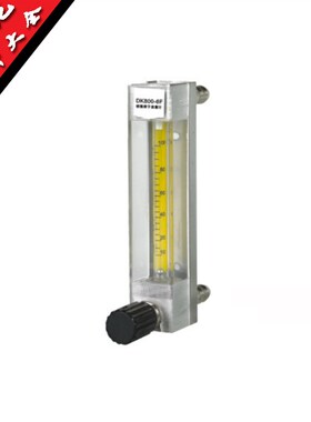 DK800-6F DK800-6 浮子流量计 玻璃转子流量计 DK80-4 DK800-4F