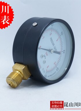 上海天川仪表厂Y-75一般弹簧管普通压力表STCIF3寸表面G3/8螺纹