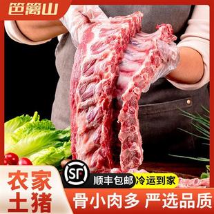 皖南黑猪排骨新鲜黑猪肉肋排生鲜土猪肉中段小寸排10斤商用