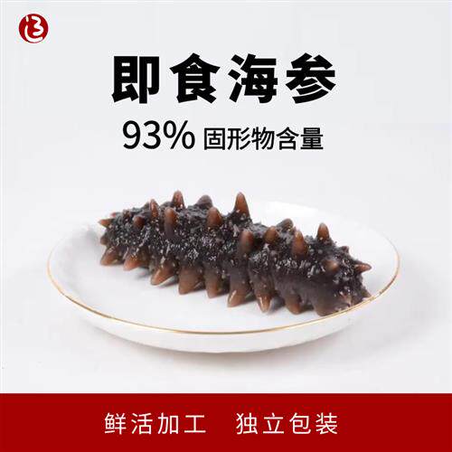 辽湾岛大连冷蒸即食黑玉海参底播野生鲜活加工辽刺参独立包装500g