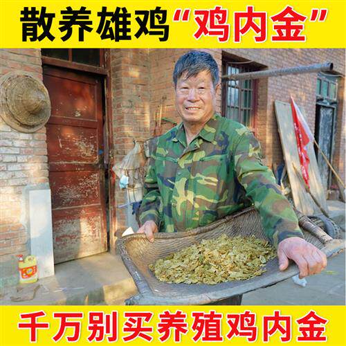 鸡内金片官方经营店熟土鸡内金粉生雄鸡胗片儿童搭山楂白术泡水