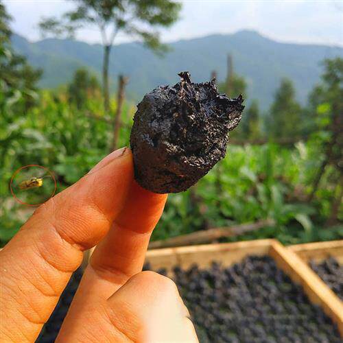 熟地黄九蒸九晒熟地黄泡水即食 熟地黄九蒸九制熟地黄中药材正品