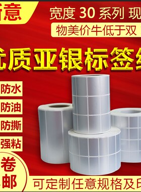 亚银不干胶标签e30X6X8X10X15X20x25X3032x19 35x10x25 哑银条码
