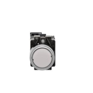 XB2BW31B1C=ZB2BWB11C+ZB2BW31C AC/DC 24V 带灯平头按钮