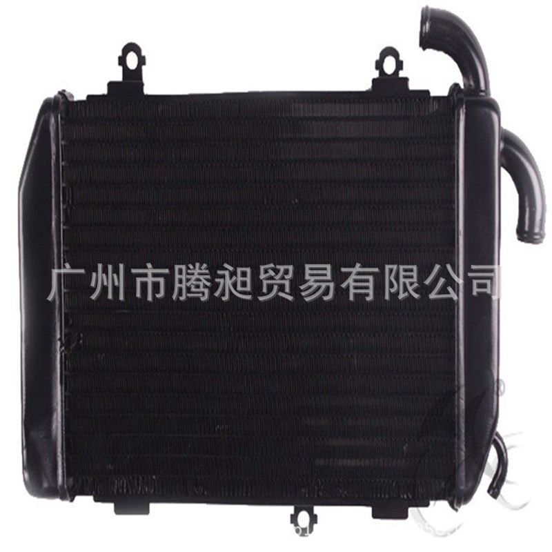 适用于金翼1800 GL1800 06-11年 右边水箱总成 水箱散热器 水冷器,摩托车/装备/配件,其他摩托车用品,淘宝优惠券,粉丝福利购,淘宝优惠卷