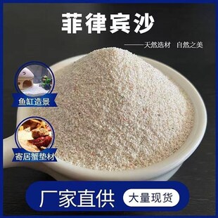 天然鱼缸底砂贝壳砂三湖砂海沙菲律宾沙鱼缸造景装饰慈鲷寄居蟹沙