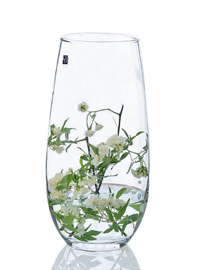 恐龙蛋造型花器 欧m式彩色玻璃花瓶 插花透明 客厅餐桌工艺品摆件