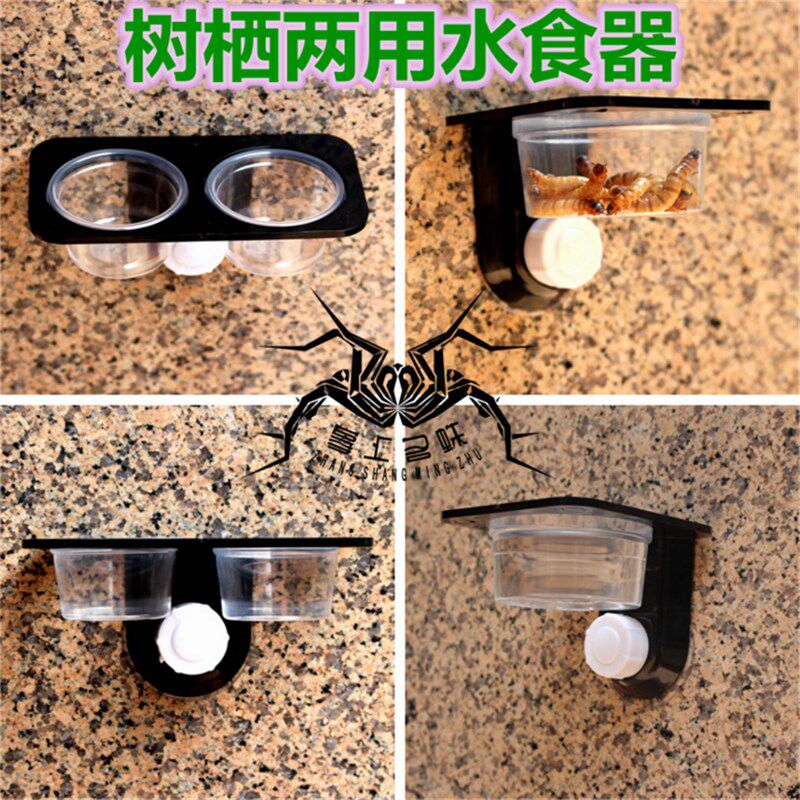 树栖爬虫喂水器喂食器吸盘睫角守宫变色丽纹龙水盆食盆喂食器合集