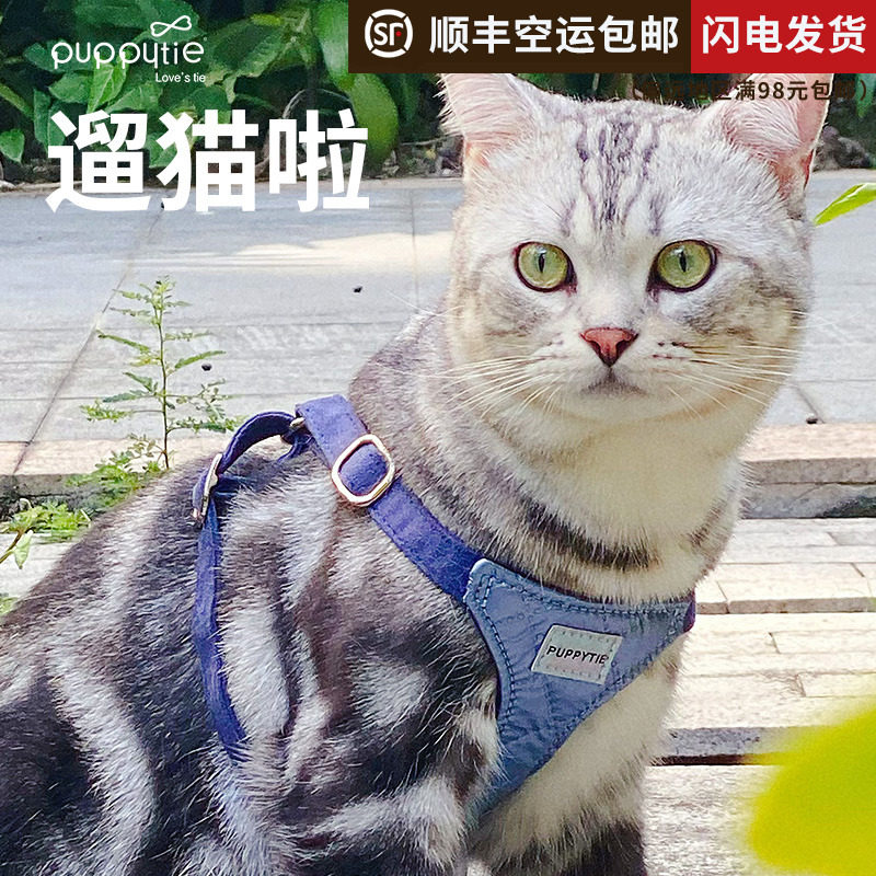 猫咪牵引绳背心式胸背带外出专用防挣脱溜猫绳子栓猫链子宠物用品