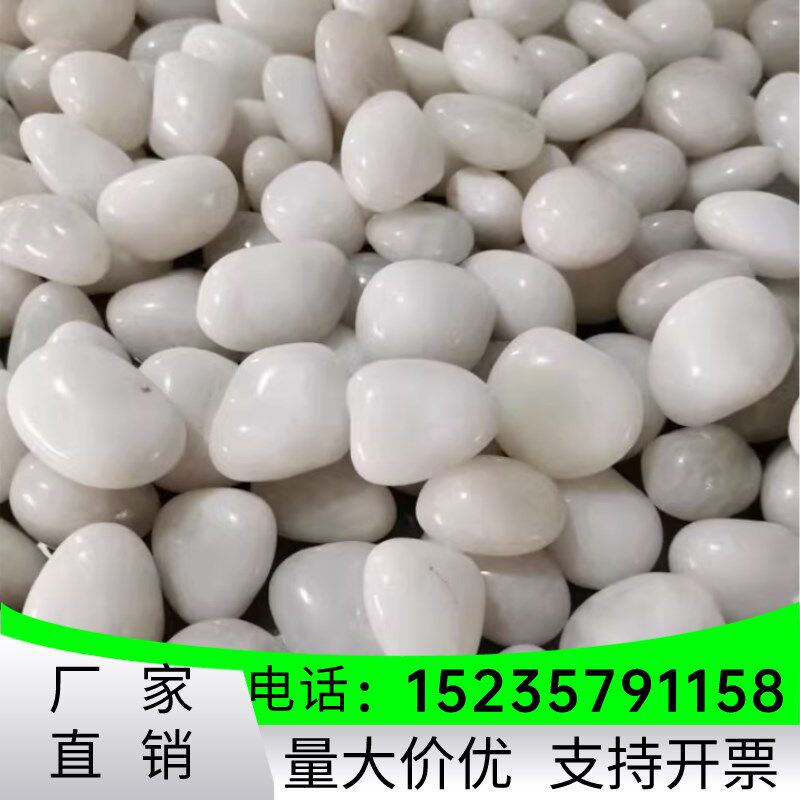 江西白色石子庭院装饰造景鹅卵石阳台花盆多肉铺面石头景观白石头