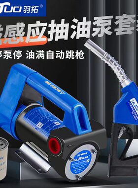 羽拓12v300w磁感应抽油泵 纯铜大功率加油泵 油满跳枪电动柴油泵