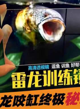 雷龙鱼专用缸外环扣透明镜子罗汉鱼沙包训鱼镜泰国斗鱼训练方形镜