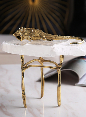 创意装饰摆件家居饰品客厅玄A关桌面酒柜装饰品蜥蜴铜制品摆设