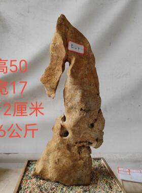 广西太湖石观赏摆件石盆景附石奇石天然原石头A01