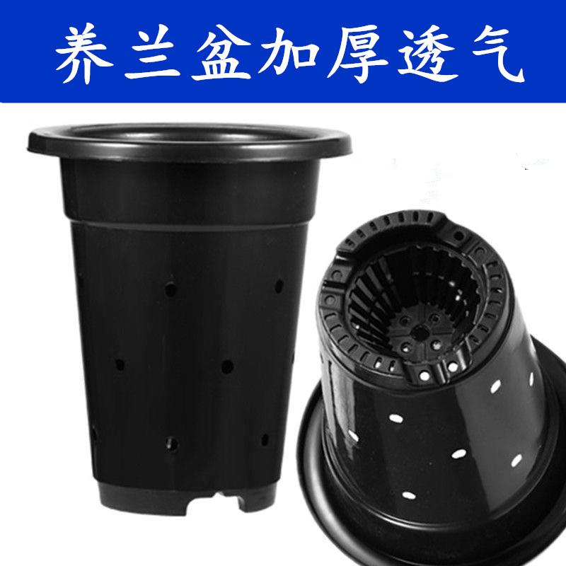 特大号兰花专用盆塑料兰花盆加厚加高大号兰花花盆透气排水兰草盆
