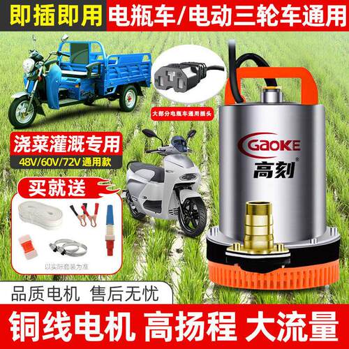 48v60v电动车抽水泵灌溉农用电动车小型直流潜水泵72V浇菜抽水机