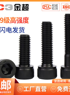 12.9级高强度黑色内六角螺丝钉六角螺栓螺钉M4M5MO6M8M10M12M16