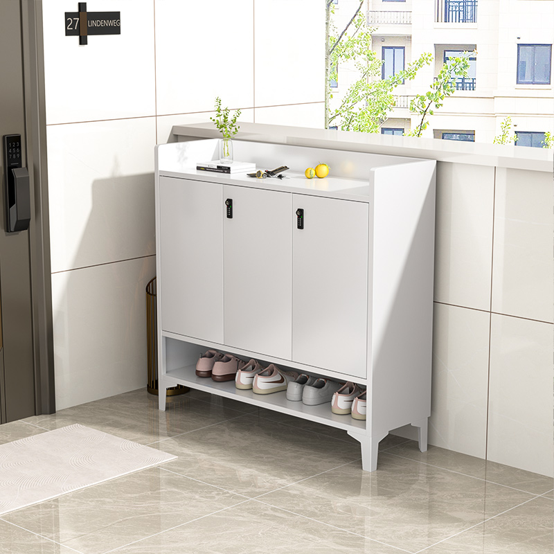 钢制鞋架家用门口电梯间走廊带锁鞋柜一梯一户储物柜防晒门外柜子