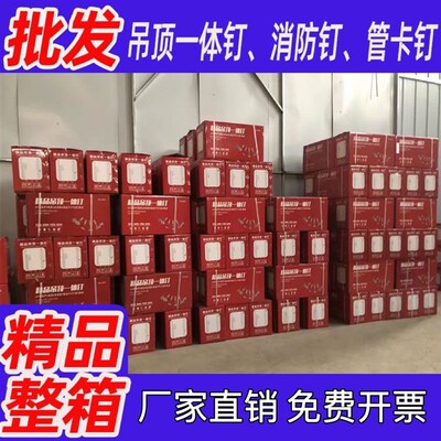 【箱装】厂家直销吊顶一体钉20管卡钉 消防钉 迷你管卡钉排卡钉