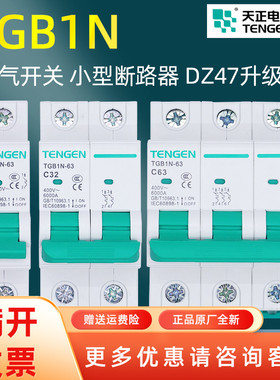 天正电气TGB1N-63空气开关小型断路器三相1234P1032540A家用照明