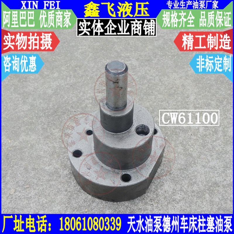 CW61100油泵德州机床厂车床柱塞泵 车床油泵配件 润滑CW61125天水