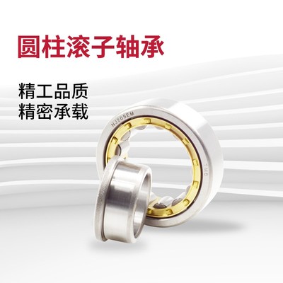 圆柱滚子轴承NJ203 204 205 206 207 208 209 210 211 212 213EM