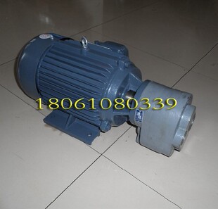 B100 B80 B125JZ立卧式 齿轮油泵电机组 置 LWBZ 液压油泵装