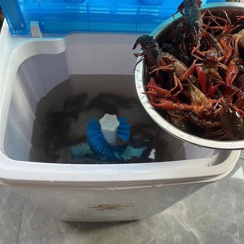 洗小龙虾神器清洗机全自动夜市餐饭馆仿手洗毛刷洗小龙虾机器