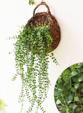 欧式挂篮垂吊挂盆装饰花盆墙面花架挂壁手工花篮藤编W植物餐厅圆