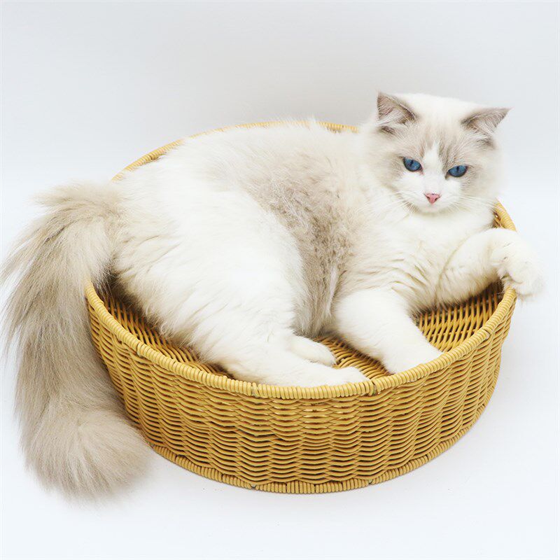 猫窝猫抓板一体四季通用磨爪别墅床房子可拆洗小猫咪玩具沙发夏季