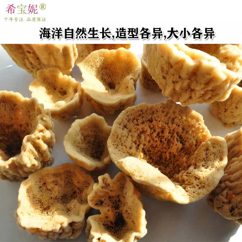 天然装饰海绵瓶 居n家样板房展柜摆台家居收纳收藏非洗脸洗澡浴