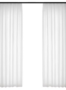 网红梦幻2023新l款竖百叶纱帘卧室透光不透人白色飘窗阳台纱帘白