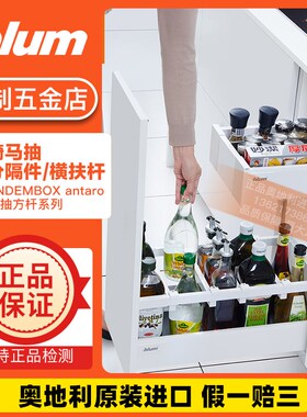 百隆骑马抽方杆分隔杆抽屉式调味篮碗架碗篮隔断配件厨房橱柜拉篮