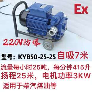 电动220V防爆油泵防静电齿轮泵柴油汽油煤油酒精抽液泵大功率油泵
