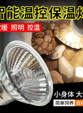 保温灯芦丁鸡取暖灯泡爬宠加热灯养殖场孵化育雏温控灯鹦鹉加温灯