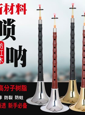 新材料仿红木乌木树脂AqBS新手初学唢呐全套一整套高硬度防摔防裂