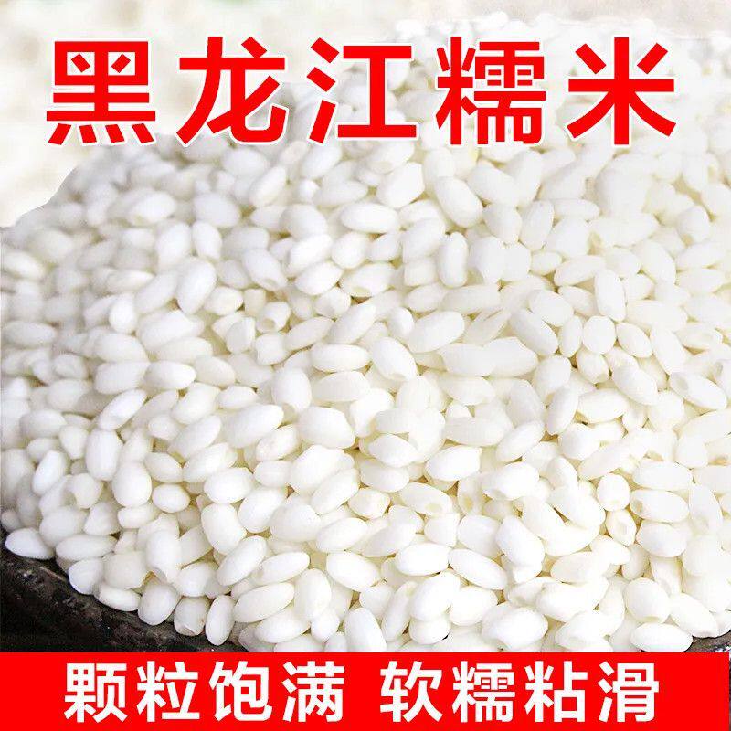 正宗东北黑龙江白糯米当季新米包粽子糍粑饭团端午节饱满黏糯香甜