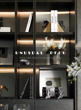 S 轻奢a样板间书房书架相机摄影主题书靠动物马饰品摆件