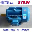 三相异步电动机YE2 437W4极振动电机马达配套机械设备 225S