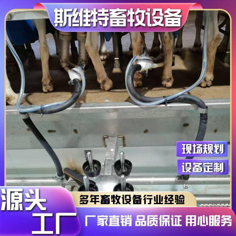 并列式电子计量挤奶厅牛羊骆驼挤奶设备养殖场用多种规格