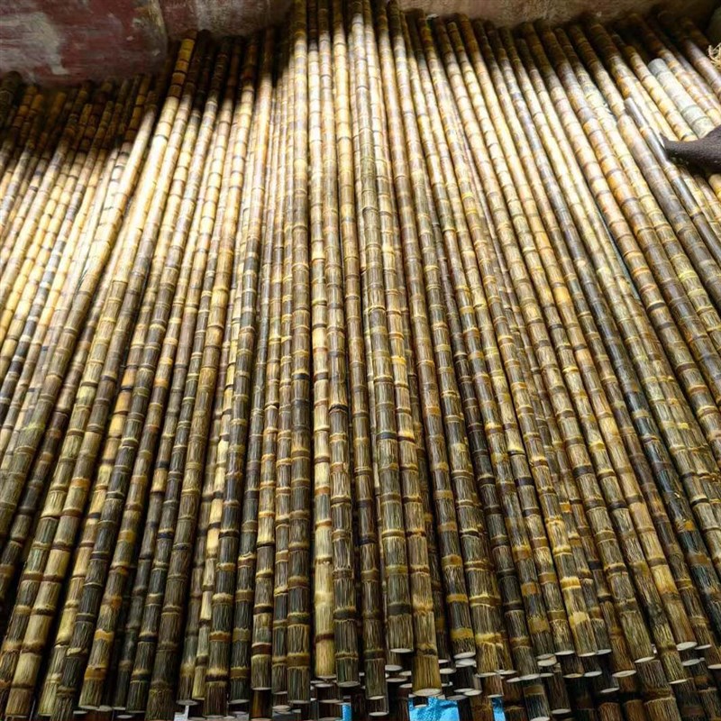 手工打磨实心竹龙血金丝竹文玩竹武术棍教鞭登山拐杖料防短棍防身