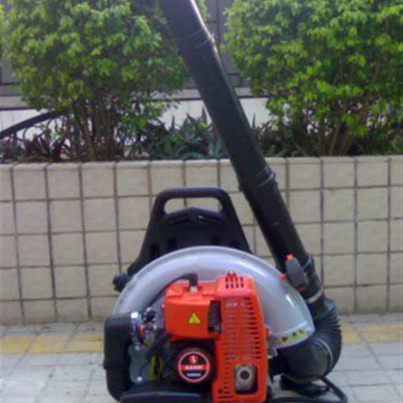 包邮科塞KS865风机 科塞吹风机 森林灭火机 吹雪机 除尘机,鲜花速递/花卉仿真/绿植园艺,水枪,淘宝优惠券,粉丝福利购,淘宝优惠卷