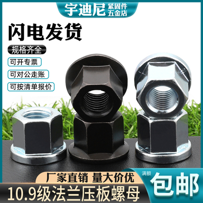 10级加高压板罗母法兰螺帽六角加厚带垫螺母模具6厘8M10M12M14M16